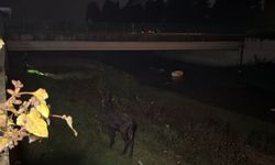 Düzce’de kurtarma çalışması sırasında sahibini gören eşek ona koştu