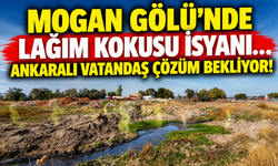 Mogan Gölü'nde lağım kokusu isyanı... Ankaralı vatandaş çözüm bekliyor!