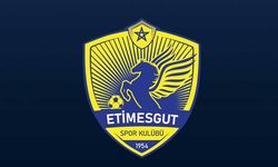 Ankara futbolunda PFDK kararları: Etimesgutspor'dan bir futbolcuya ceza!