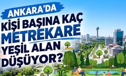 Ankara'da kişi başına kaç metrekare yeşil alan düşüyor?