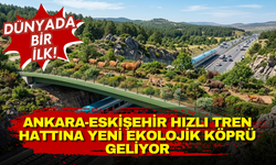 Dünyada bir ilk! Ankara-Eskişehir hızlı tren hattına yeni ekolojik köprü geliyor