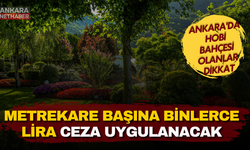 Ankara'da hobi bahçesi olanlar dikkat! Metrekare başına binlerce lira ceza uygulanacak