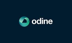 SPK'dan Odine hisselerinde yeni hamle: 21 kişi hakkında suç duyurusu!