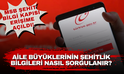 MSB Şehit Bilgi Kapısı erişime açıldı! Aile büyüklerinin şehitlik bilgileri nasıl sorgulanır?
