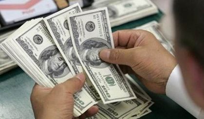 Talep patlaması yaşanıyor... Merkez Bankası'ndan tarihi döviz satışı!