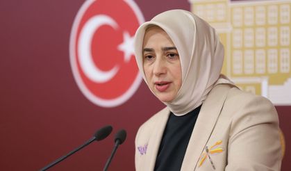 AK Partili Zengin'den emekli açıklaması: "Yeterli değil, yeniden değerlendirilecek"