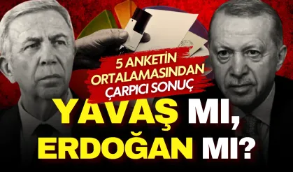 Şubat ayında yapılan beş anketin ortalaması açıklandı: Yavaş mı, Erdoğan mı?