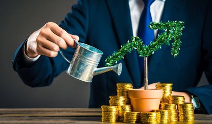 Paramızı nereye yatıralım? Goldman Sachs yılın yatırım haritasını açıkladı!