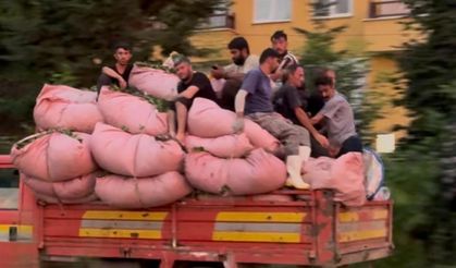 Çay dolu kamyonun kasasındaki tehlilekli yolculuk yürekleri ağza getirdi!