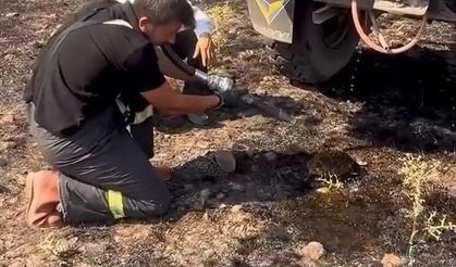 Bolu'da yürek ısıtan anlar: Dumandan etkilenen kirpiye itfaiyeciler böyle su verdi