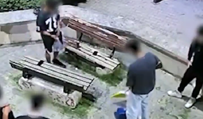 Çekirdek keyfi pahalıya patladı: Zabıta, kabukları yere atanları böyle cezalandırdı