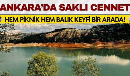 Ankara’da hem piknik hem balık keyfi! Keçiören’de gizli bir gölet