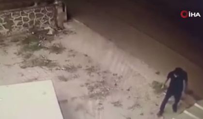 Ankara’da tepki çeken olay! Köpeğe şiddet uygulayan şahıs kameraya yakalandı