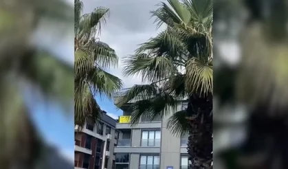 İstanbul’da satılık evin fiyatını duyan vatandaş şoke oldu!