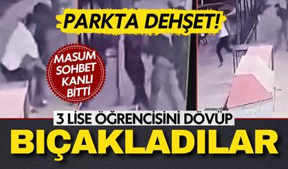Parkta dehşet anları: Lise öğrencisi parkta öldüresiye dövüldü sonra bıçaklandı!