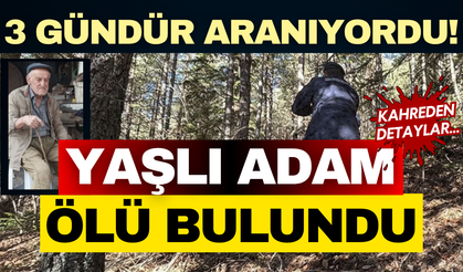 Bolu'da mantar toplamak için ormana giden 88 yaşındaki adam ölü bulundu