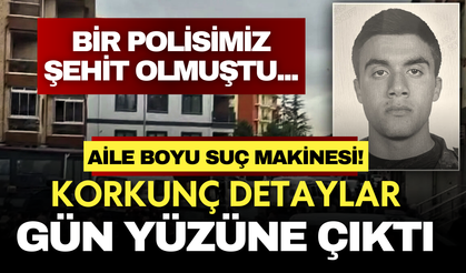 Polis memurunun şehit edildiği olayda evler silah deposu çıktı