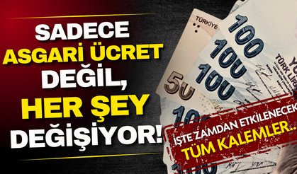 Sadece asgari ücret değil her şey değişecek! İşte zamdan etkilenecek tüm kalemler