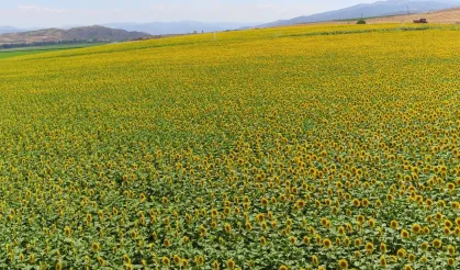 Çiftçiler dikkat: B-Reçete dönemi başlıyor her şey değişiyor...