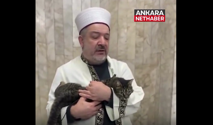 Camide yürek ısıtan görüntü: Kedi imamın kucağında Kur'an tilavetini dinledi