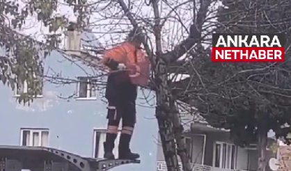 Denizli'de yürekleri ısıtan anlar: Ağaçta asılı kalan Türk bayrağını aldı, öpüp cebine koydu