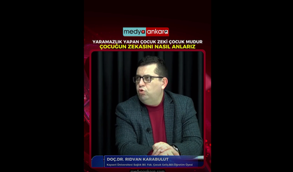 Yaramazlık yapan çocuk zeki midir? Çocuğun zekası nasıl anlaşılır?