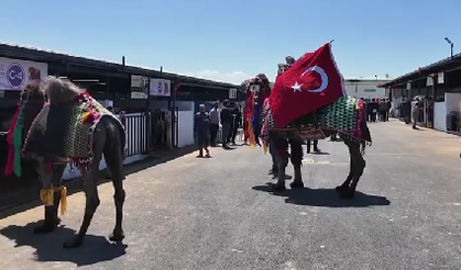 Pursaklar'da Kurban hazırlıkları tamam: Deve satışı ilk kez Ankara'da!