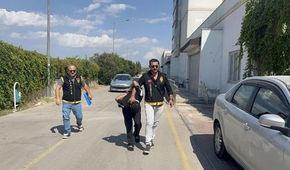Önce 3 kişinin canına kıydı, sonra pişmanım dedi! Tutuklanmaktan kaçamadı