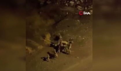 Ankara’da köpeklerin kavgası kamerada!