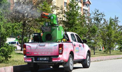 Ankara’da sivrisinek, kene ve haşereye karşı ilaçlama mesaisi sürüyor
