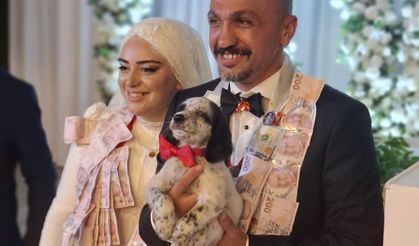 Trabzon’daki düğünde sıra dışı takı: Damada altın değil köpek taktı