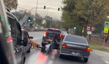 Sakarya'da korku dolu anlar: Köpek vatandaşa saldırıp yerde sürükledi!