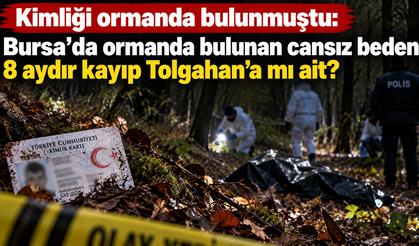 Kimliği ormanda bulunmuştu: Bursa’da ormanda bulunan cansız beden 8 aydır kayıp Tolgahan’a mı ait?