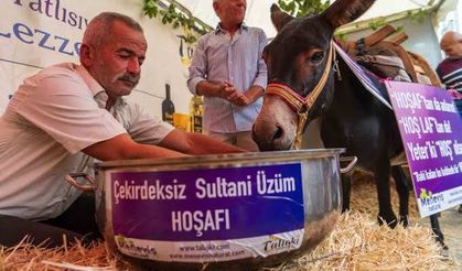 "Eşek hoşaftan ne anlar?" önyargısını yıkmak için bakın ne yaptılar