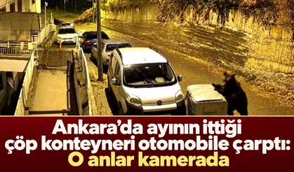 Ankara’da ayının ittiği çöp konteyneri otomobile çarptı: O anlar kamerada