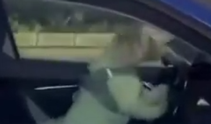 Ankara'da trafiğin en tatlı magandası! Kornaya basıp durdu