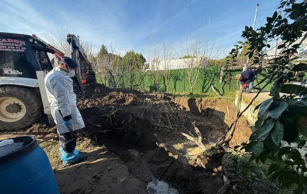 Gerçek 17 yıl sonra ortaya çıktı: Kemikleri eski eniştenin bahçesinde bulundu!