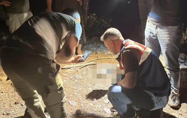Ormanda ürküten manzara: Çobanın ihbarıyla ekipler bölgeye sevk edildi