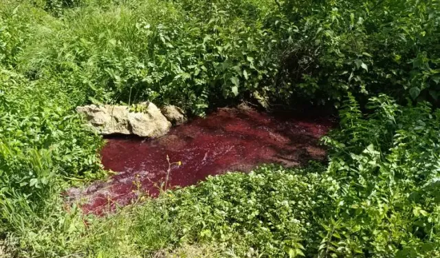 Gedelek Deresi kırmızıya boyandı: Atıklar tarlaları kuruttu