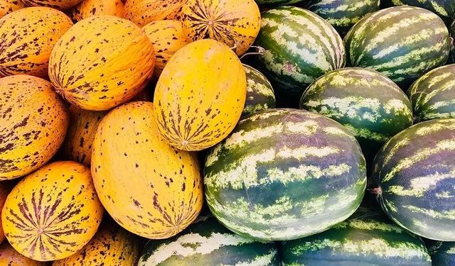 Ankara'da kavun karpuz fiyatları el yakıyor: don vurdu etiketler uçtu