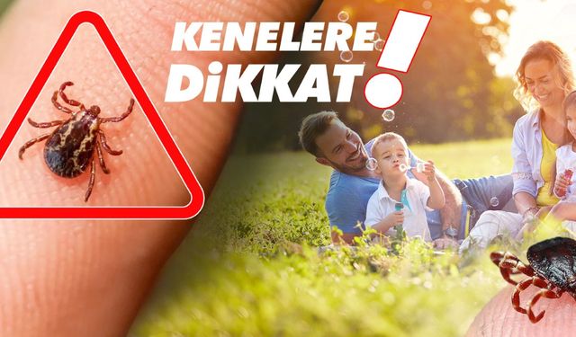 Yaz geldi kene tehlikesi arttı: KKKA'ya karşı uyarılar peş peşe geldi!