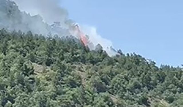 Ankara Kızılcahamam'da orman yangını çıktı