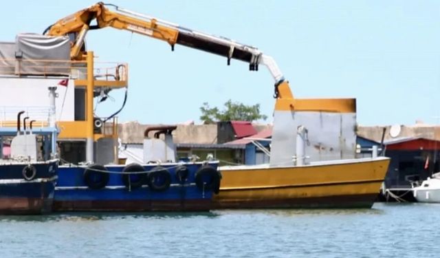 Giresun’da kurbanlık büyükbaş denize atladı balıkçı kulübesinde yakalandı