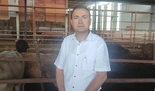 Manisa’da kurbanlık dana saldırısına uğrayan iş adamı hayatını kaybetti