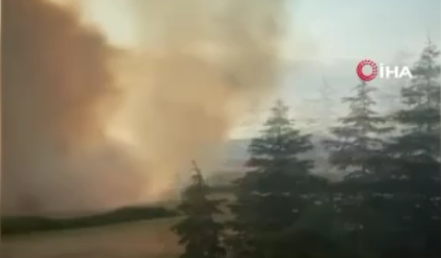 Polatlı’da hobi bahçesindeki yangın arpa tarlasını kül etti