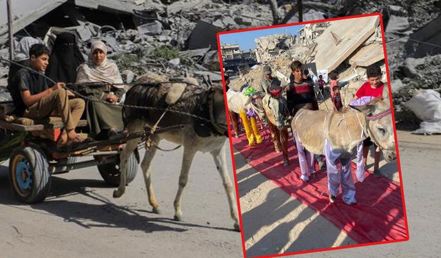 Gazzeli çocuklardan ibretlik gösteri! “Eşekler bize Araplardan daha çok yardım etti”