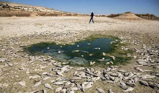 Korkulan veriler açıklandı: Türkiye 2030’da ciddi kuraklıkla karşı karşıya kalabilir