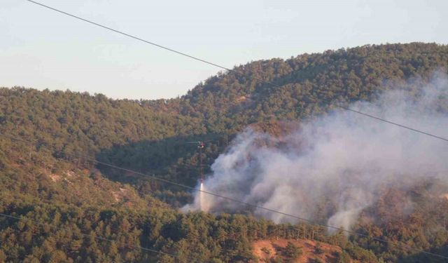 Bolu’daki orman yangınına havadan ve karadan müdahale sürüyor