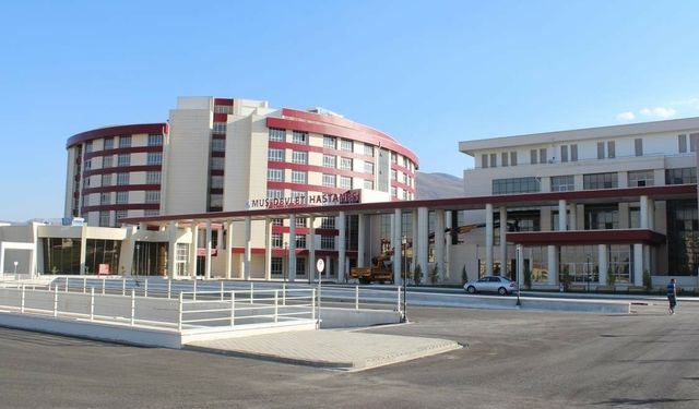 Çıplak Elle Kene Çıkardılar, Ölümcül Virüs Bulaştı!