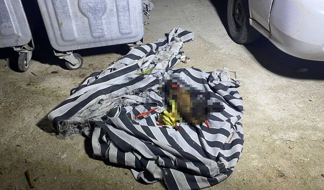 Serik’te çöp konteynerinde çıkan yangın sonrası telef köpek bulundu